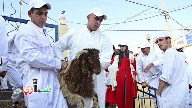 نابلس: السمره بين الهوية الاسرائيلية والمواطنة الفلسطينية ... سامريو نابلس يحتفلون بالفصح العبري  